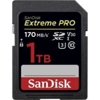 Carte mémoire flash - SANDISK - - 1TB - - (SDSDXXY-1T00-GN4IN)