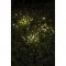 Guirlande solaire 3 étoiles rayonnantes - 3m - GALIX