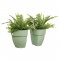 ELHO - Pot de fleurs - Vibia Campana Flower Twin 21 - Vert Pistache - Balcon extérieur - L 38.4 x W 20.5 x H 26.5 cm