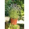 DEROMA Pot de fleurs rond Day R cotto - Coloris terre rouge - 50cm