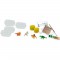 SES CREATIVE - Fossiles de dinosaures