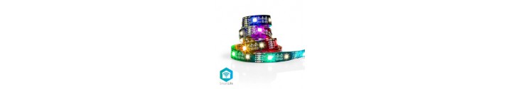 Rubans LED