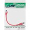 Câbles de patch Inline® S / FTP PIMF CAT.8.1 Halogène sans halogène 2000 MHz rouge 0,25 m