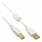 Câble USB 2.0 Inline® Type d'un mâle mâle B plaqué or avec un starter de ferrite blanc 1,5 m