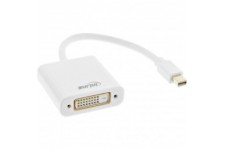 Inline® mini afficheport mâle à dvi-d 24 + 1 adaptateur femelle blanche