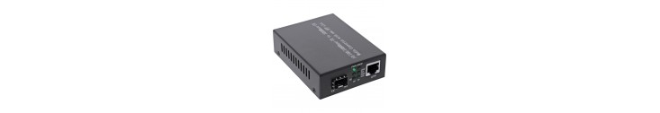 Convertisseurs Média, Gigabit