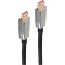 shiverpeaks Câble de raccordement PRO Série II DisplayPort