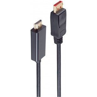shiverpeaks Câble BASIC-S DisplayPort - HDMI 1.4, 1,0 m