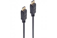 shiverpeaks BASIC-S Câble de connexion Displayport, 1,0 m