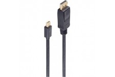 shiverpeaks BASIC-S Câble d'alimentation DisplayPort, 2,0 m