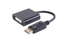 shiverpeaks BASIC-S Adaptateur, DisplayPort - DVI 24+5