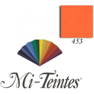 Lot de 10 : CANSON Papier dessin Mi-teintes, 500 x 650 mm, orange