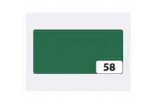 folia Papier de couleur, (L)500 x (H)700 mm, vert sapin