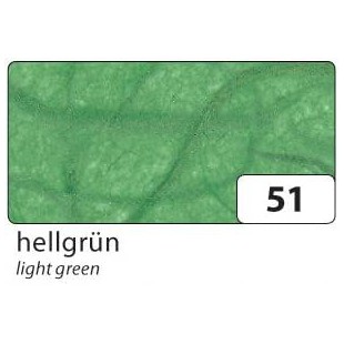 Lot de 10 : folia Soie de paille, (L)470 x (H)640 mm, vert clair