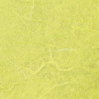 Lot de 10 : folia Soie de paille, (L)470 x (H)640 mm, jaune citron