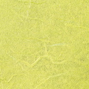 Lot de 10 : folia Soie de paille, (L)470 x (H)640 mm, jaune citron
