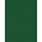 folia Papier cartonné, (L)1.000 x (H)700 mm, vert sapin
