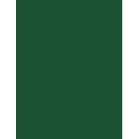 folia Papier cartonné, (L)1.000 x (H)700 mm, vert sapin
