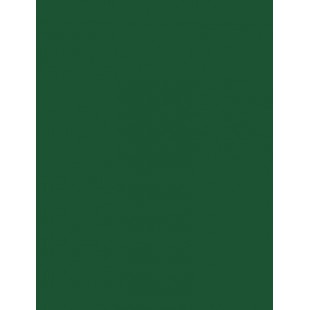 folia Papier cartonné, (L)1.000 x (H)700 mm, vert sapin