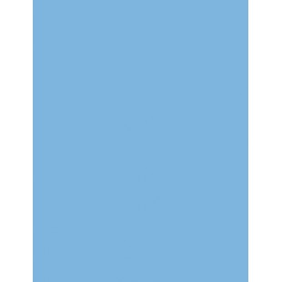 folia Papier cartonné, (L)1.000 x (H)700 mm, bleu ciel