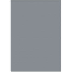 folia Carton de bricolage, (L)500 x (H)700 mm, gris pierre