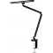 Hansa Lampe de bureau à LED 'Zirkon', à pince, noir