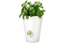 Poétic Pot à herbes, diamètre: 130 mm, hauteur: 170mm, blanc