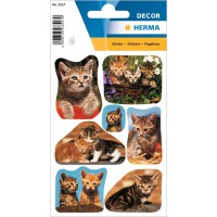 HERMA Autocollants DECOR 'Photos de chats'