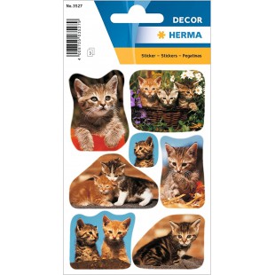 HERMA Autocollants DECOR 'Photos de chats'