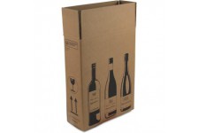 Lot de 10 : smartboxpro Cartons d'expédition pour 3 bouteilles