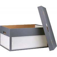 Lot de 5 : smartboxpro Boîte d'archives/transport L, à couvercle, gris