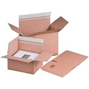 Lot de 10 : smartboxpro Carton à fond automatique, (l)160 x (P)130 mm