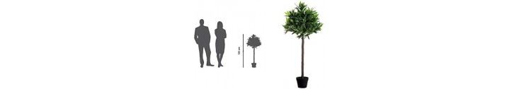 Plantes Artificielles