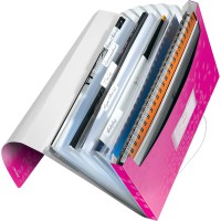 LEITZ Trieur ménager WOW, A4, PP, 6 compartiments, rose
