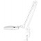 LogiLink Lampe loupe à LED, avec pince, blanc