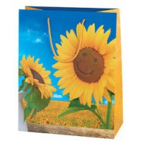 SUSY CARD Sachet cadeau 'Sunflower Smile'