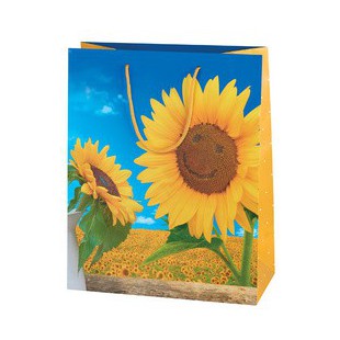 SUSY CARD Sachet cadeau 'Sunflower Smile'