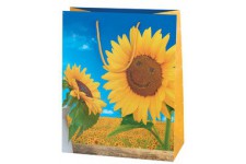 SUSY CARD Sachet cadeau 'Sunflower Smile'