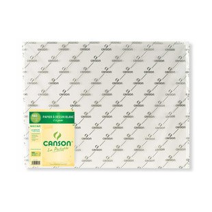 Lot de 25 : CANSON Papier de dessin 'C' à Grain, 224 g/m2, 500 x 650 mm
