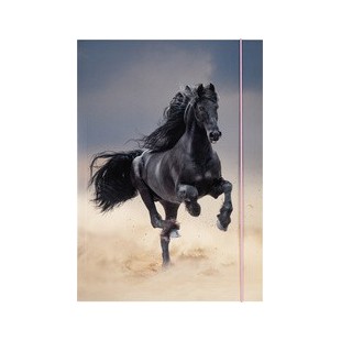 folia Pochette de rangement à dessins BASIC 'Black Horse',A3