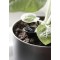 orthex Pot de fleurs PAULINA, diamètre : 200 mm, noir