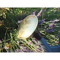 Poétic Pomme d'arrosage de rechange pour arrosoir de 6 L