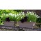 Poétic Set jardinière et soucoupe ROMEO, set de 2, kaki