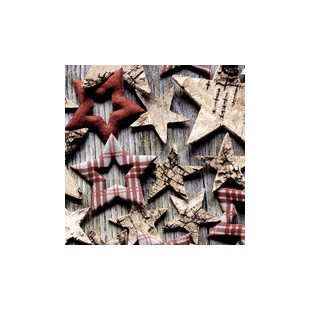 PAPSTAR Serviette à motif de Noël 'Winter Poinsettia'