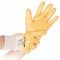 Lot de 12 : HYGOSTAR Gants de travail 'NITRIL GRIP', jaune, XL