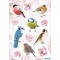 HERMA Autocollants DECOR 'Oiseaux chanteurs'