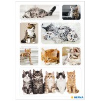 HERMA Autocollants DECOR 'Chatons'