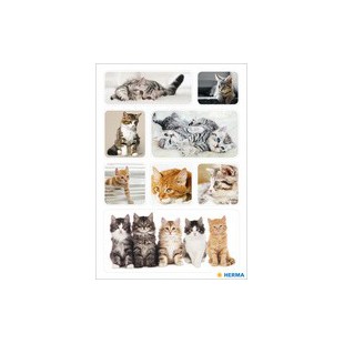 HERMA Autocollants DECOR 'Chatons'