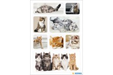 HERMA Autocollants DECOR 'Chatons'