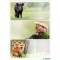 HERMA Étiquettes pour livres 'Animaux de la ferme'